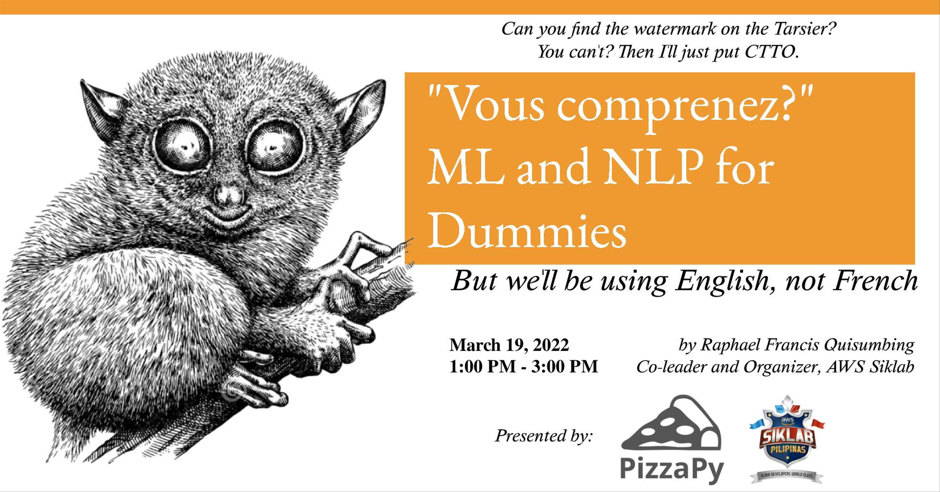 "Vous comprenez?": ML and NLP for Dummies